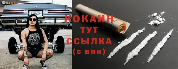 гашик Сафоново