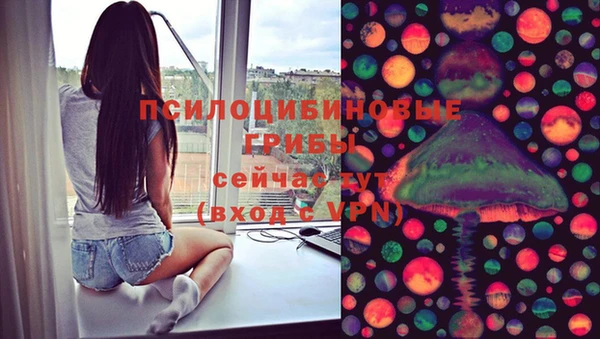 гашик Сафоново