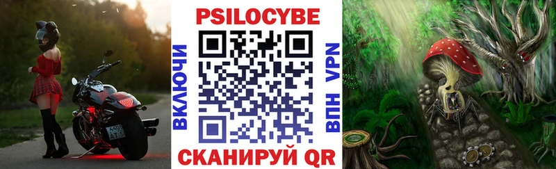 Псилоцибиновые грибы Magic Shrooms  кракен   Феодосия  купить наркотик 