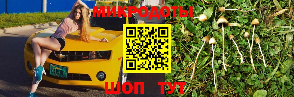 магазин продажи наркотиков  Галлюциногенные грибы Cubensis  Вход с VPN  Псилоцибиновые грибы ЛСД  Феодосия 